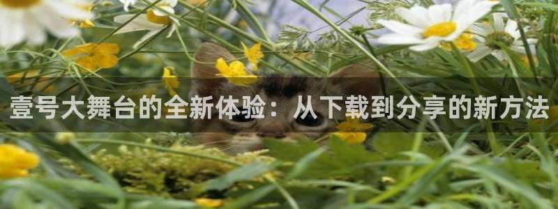 恒盛商城凯捷平台：壹号大舞台的全新体验：从下载到分享的新方法